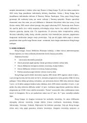 Kinijos ekonomika 13 puslapis