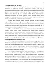 Kinijos ekonomika 19 puslapis