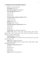 Kinijos ekonomika 3 puslapis