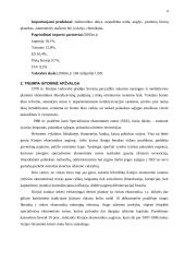 Kinijos ekonomika 4 puslapis