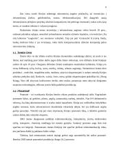 Kinijos ekonomika 6 puslapis