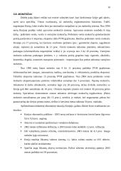 Kinijos ekonomika 10 puslapis