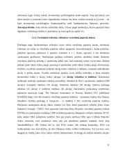 Vertybinių popierių vertės ir rizikos vertinimas 11 puslapis