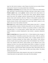 Vertybinių popierių vertės ir rizikos vertinimas 12 puslapis