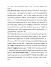 Vertybinių popierių vertės ir rizikos vertinimas 13 puslapis