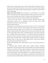 Vertybinių popierių vertės ir rizikos vertinimas 16 puslapis