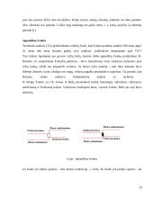 Vertybinių popierių vertės ir rizikos vertinimas 19 puslapis