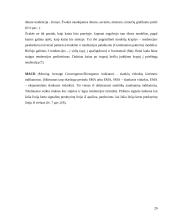 Vertybinių popierių vertės ir rizikos vertinimas 20 puslapis