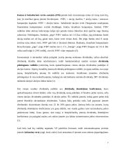 Vertybinių popierių vertės ir rizikos vertinimas 7 puslapis