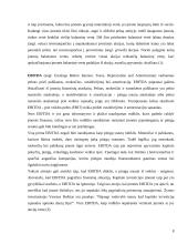 Vertybinių popierių vertės ir rizikos vertinimas 8 puslapis