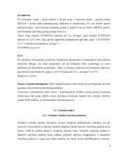 Vertybinių popierių vertės ir rizikos vertinimas 9 puslapis