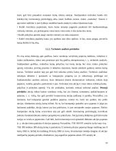 Vertybinių popierių vertės ir rizikos vertinimas 10 puslapis