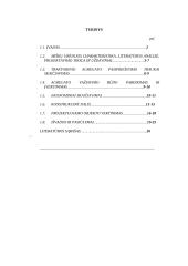 Kirtaviečių valymas 2 puslapis