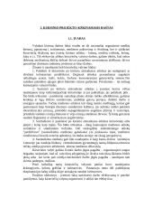 Kirtaviečių valymas 3 puslapis