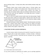 Kokybės įtaka organizacijos efektyvumui ir rezultatyvumui 10 puslapis
