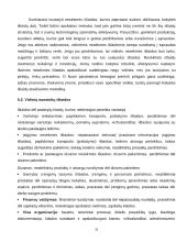 Kokybės įtaka organizacijos efektyvumui ir rezultatyvumui 19 puslapis