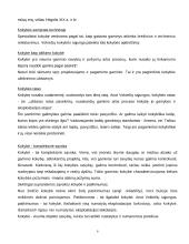 Kokybės įtaka organizacijos efektyvumui ir rezultatyvumui 7 puslapis