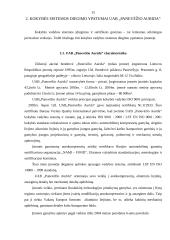 Kokybės sistemos diegimo ypatumai UAB "Panevėžio Aurida" 12 puslapis