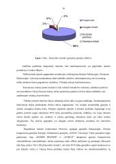 Kokybės sistemos diegimo ypatumai UAB "Panevėžio Aurida" 13 puslapis