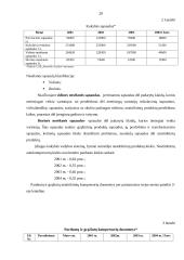 Kokybės sistemos diegimo ypatumai UAB "Panevėžio Aurida" 17 puslapis
