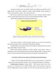 Kokybės sistemos diegimo ypatumai UAB "Panevėžio Aurida" 19 puslapis