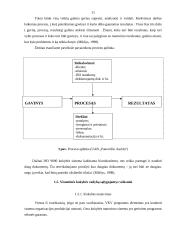 Kokybės sistemos diegimo ypatumai UAB "Panevėžio Aurida" 8 puslapis