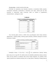 Investicijų rizikos vertinimas 2 puslapis