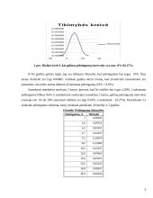 Investicijų rizikos vertinimas 4 puslapis
