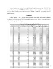 Investicijų rizikos vertinimas 8 puslapis