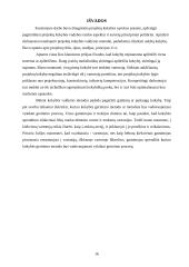 Kokybės valdymas projektavimo metu 16 puslapis