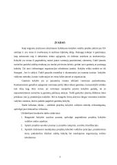 Kokybės valdymas projektavimo metu 3 puslapis