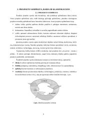 Kokybės valdymas projektavimo metu 6 puslapis