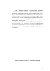 Kokybiniai tyrimai kultūros įstaigų rinkodaros tyrimuose 11 puslapis