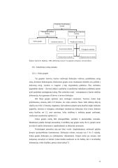 Kokybiniai tyrimai kultūros įstaigų rinkodaros tyrimuose 16 puslapis