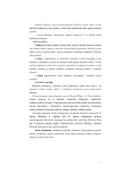 Kokybiniai tyrimai kultūros įstaigų rinkodaros tyrimuose 4 puslapis