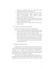 Kokybiniai tyrimai kultūros įstaigų rinkodaros tyrimuose 9 puslapis