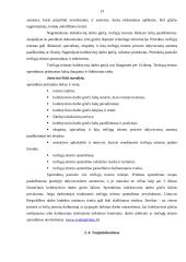 Kolektyvinių darbo ginčų samprata ir požiūriai 13 puslapis