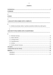 Kolektyvinių darbo ginčų samprata ir požiūriai 4 puslapis