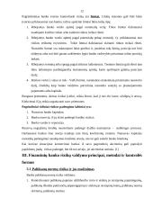 Komercinių bankų rizika ir jos valdymas 11 puslapis