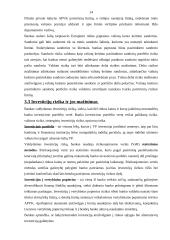 Komercinių bankų rizika ir jos valdymas 13 puslapis