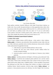 Komercinių bankų rizika ir jos valdymas 7 puslapis