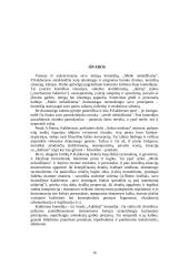 Komiškų situacijų įvairovė P. Kalderono komedijoje "Meile nežaidžiama" 16 puslapis