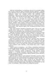 Komiškų situacijų įvairovė P. Kalderono komedijoje "Meile nežaidžiama" 17 puslapis