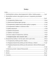 Kompiuteriniai žaidimai šiandieninėje visuomenėje