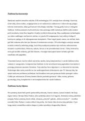 Kompiuteriniai žaidimai šiandieninėje visuomenėje 11 puslapis