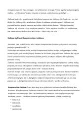 Kompiuteriniai žaidimai šiandieninėje visuomenėje 13 puslapis