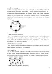 Kompiuterinių tinklų kūrimas ir pritaikymas vartotojui 10 puslapis