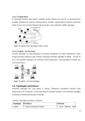 Kompiuterinių tinklų kūrimas ir pritaikymas vartotojui 11 puslapis