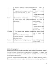 Kompiuterinių tinklų kūrimas ir pritaikymas vartotojui 12 puslapis