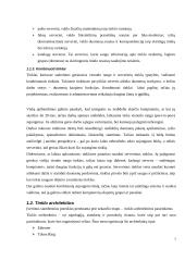 Kompiuterinių tinklų kūrimas ir pritaikymas vartotojui 6 puslapis